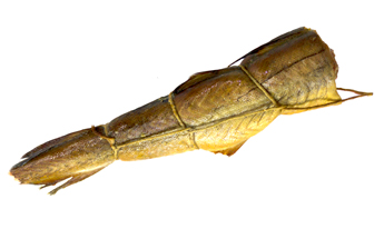 Мінтай тушка гарачага вэнджання