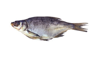 Лешч вялены