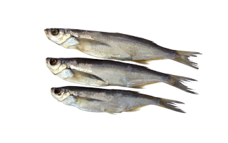 Рыба Чехонь вяленая