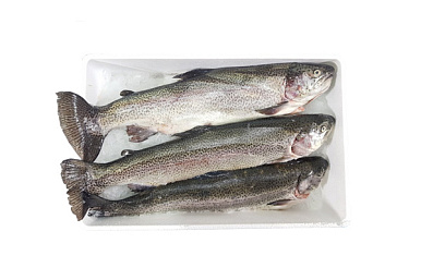 Форель охлажденная