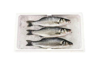 Форель охлажденная