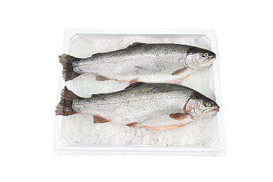 Форель охлажденная